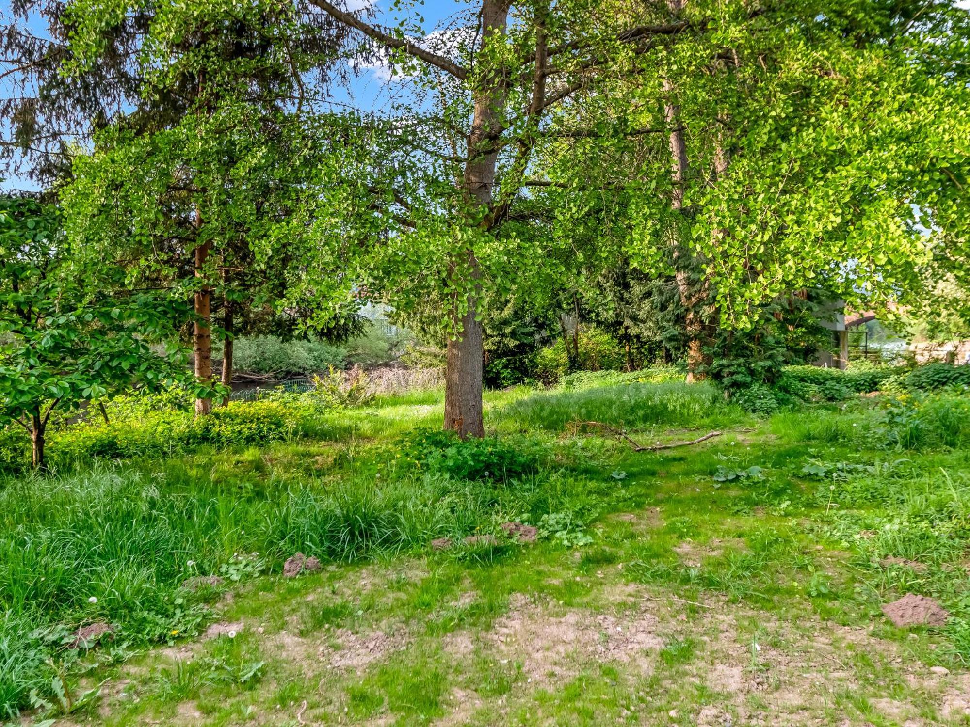 Altstadt Apartment Am Wasser Mit Parkplatz Und Grossem Garten Bad Kreuznach Exteriér fotografie